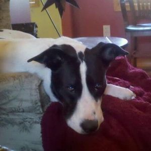 Meet your Posher, Shane